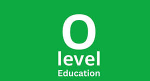 Olevel English remedial plans